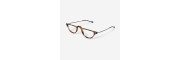 Nooz Essential - Moon - Tortoise Nooz Essential - Moon - Tortoise