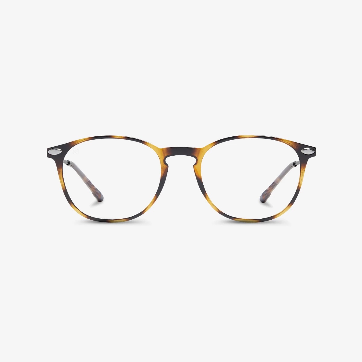 Nooz - Multi-Distanza - Alba - Tortoise Nooz - Multi-Distanza - Alba - Tortoise