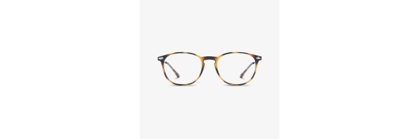 Nooz - Multi-Distanza - Alba - Tortoise Nooz - Multi-Distanza - Alba - Tortoise