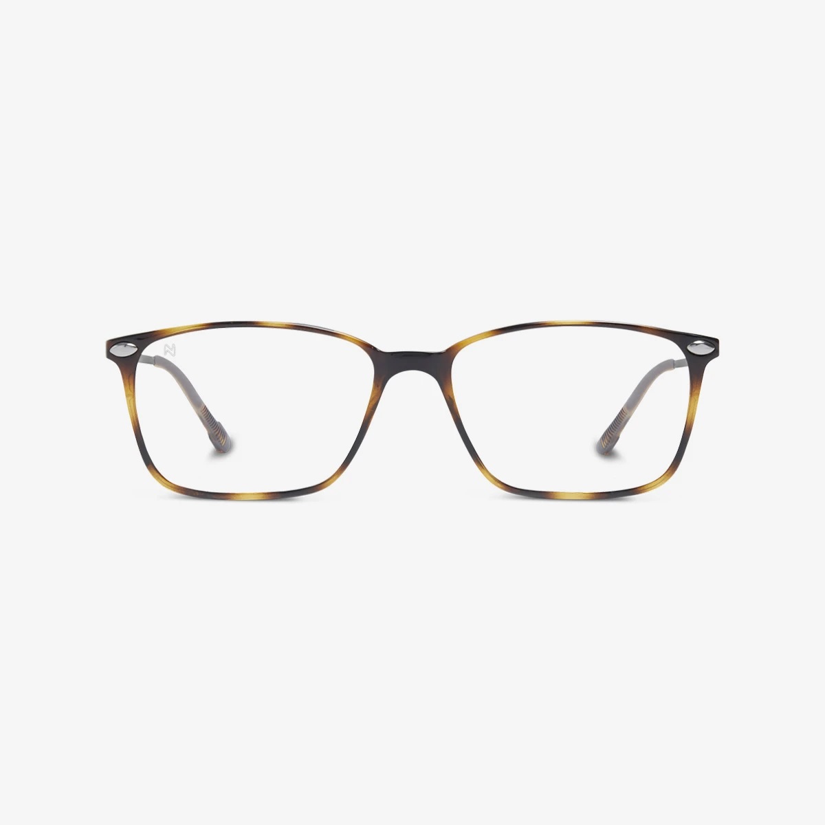 Nooz - Multi-Distanza - Bao - Tortoise Nooz - Multi-Distanza - Bao - Tortoise