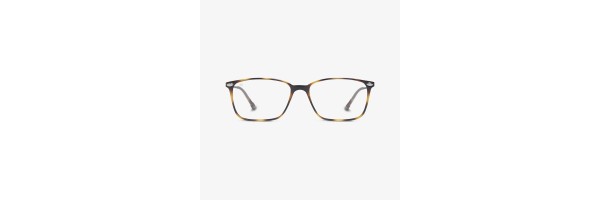 Nooz - Multi-Distanza - Bao - Tortoise Nooz - Multi-Distanza - Bao - Tortoise