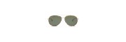 Nooz - Sunglasses - Jet - Tortoise Nooz - Sunglasses - Jet - Tortoise