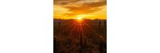 Visconti - Homo sapiens - Arizona Sunset - Rollerball Pen Visconti - Homo sapiens - Arizona Sunset - Rollerball Pen