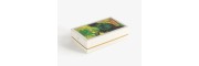 Visconti - Van Gogh - The Novel Reader - Fountain Pen