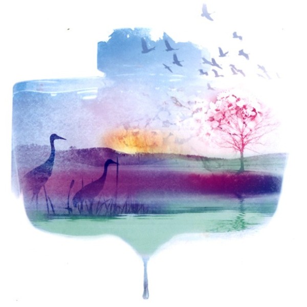 Pilot Iroshizuku Ink